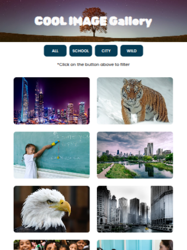 Create Responsive Image Gallery in HTML, CSS and JavaScript
